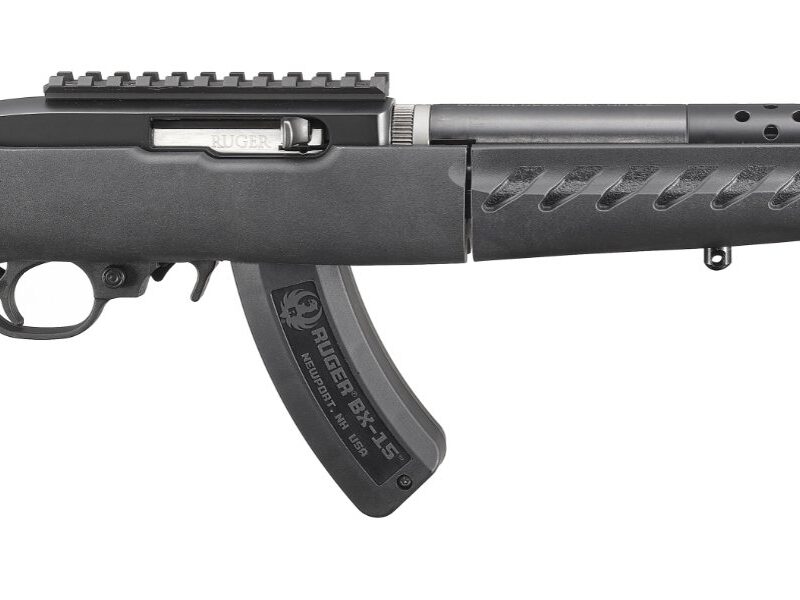 Ruger Charger Takedown 22LR 10 Inch 15RD