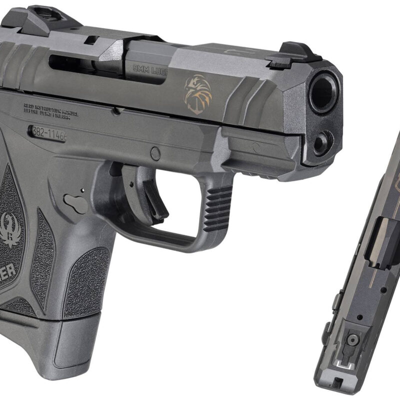 Ruger Security-9 9mm Navy SEAL Foundation TALO Edition 3.42-inch 10Rds Blued